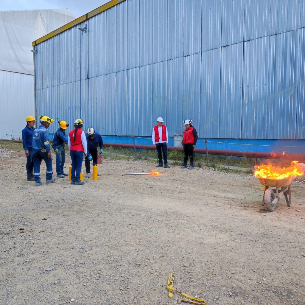 Imagen de WhatsApp 2024-12-05 a las 15.42.04_388634df