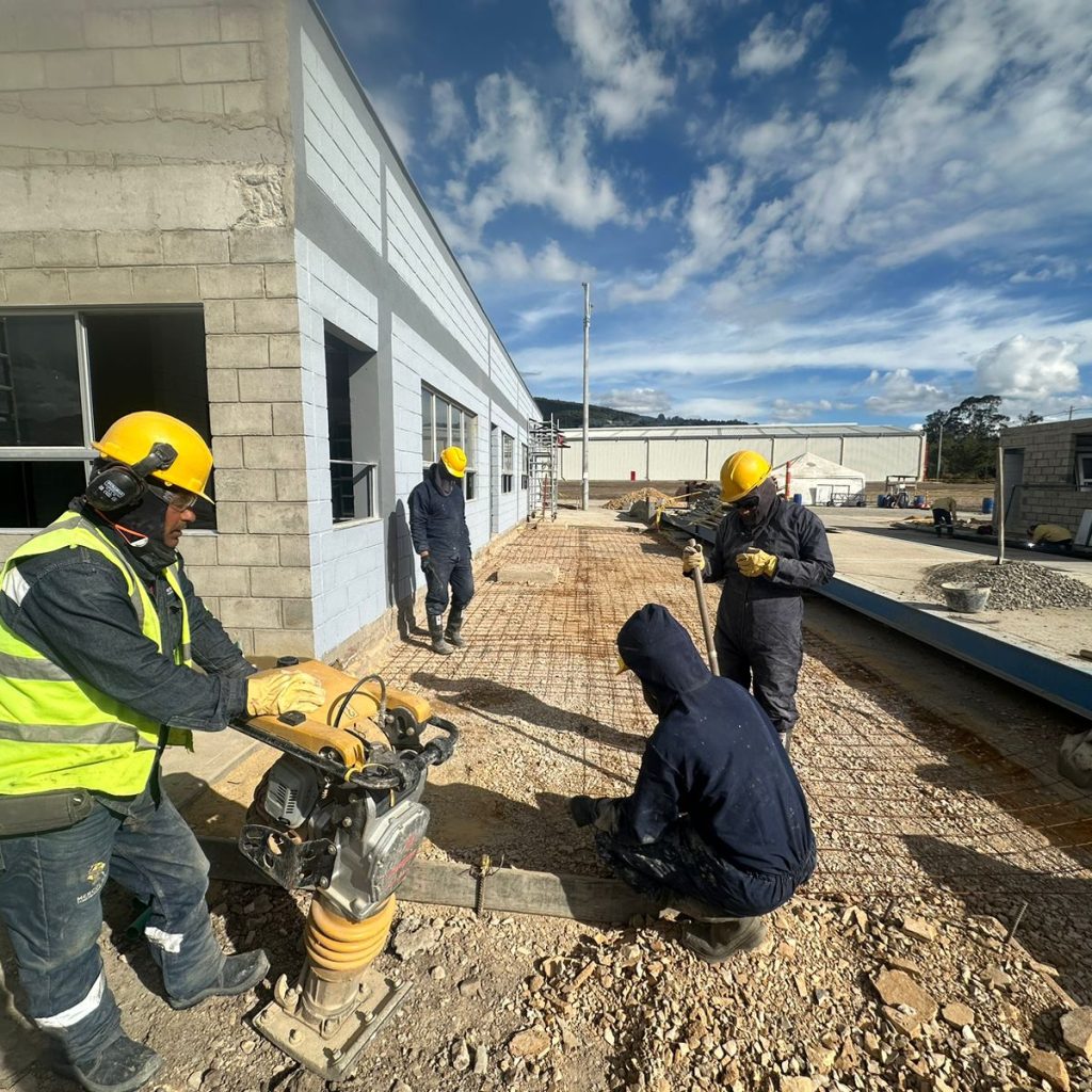 Imagen de WhatsApp 2024-12-05 a las 17.01.58_f4e5f972