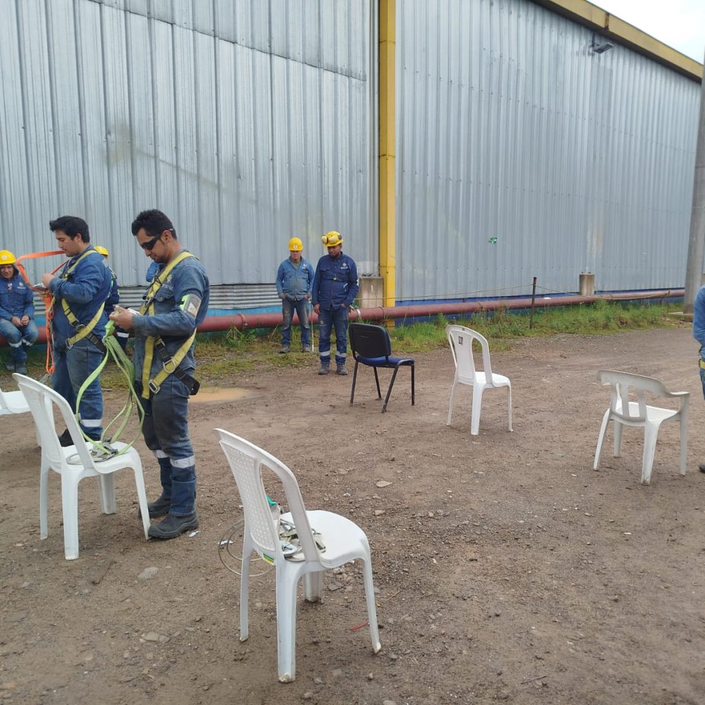 Imagen de WhatsApp 2024-12-11 a las 16.09.09_224836e5